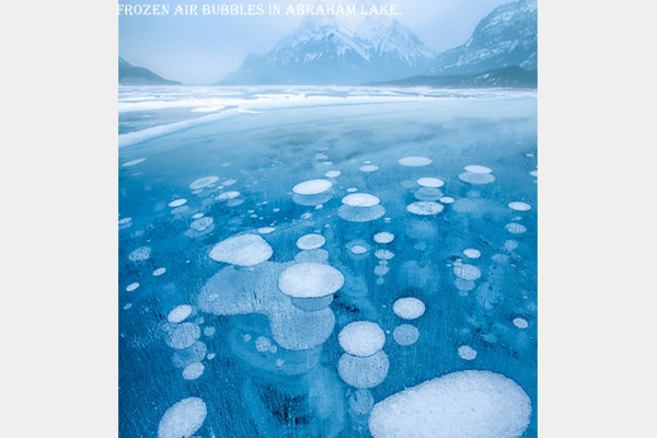 12 Craziest Things in Nature